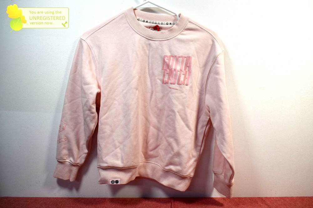 Pokémon Youth Crewneck Trainer Sweatshirt Pink Small Gotta Catch Em All